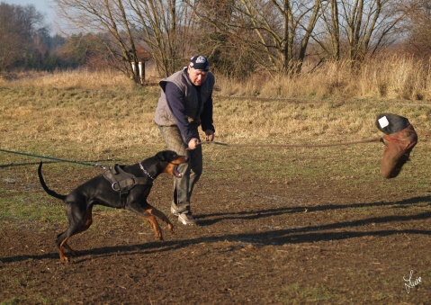 The christmas training 27.12.2006